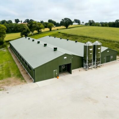 Steel Structure Livestock Shed for Dairy Farm
