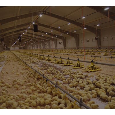 Prefabricated Farm Shed with Insulated Roof