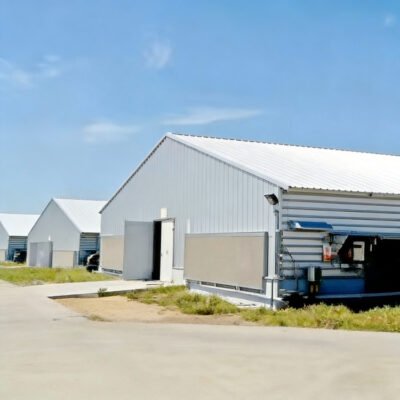 Steel Structure Barn for Horse and Cattle