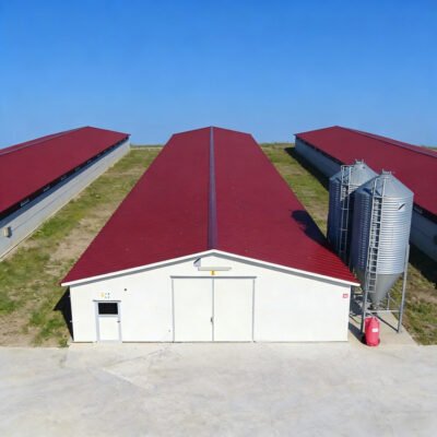 Poultry House with Automatic Feeding System