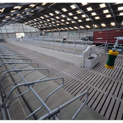 Poultry House with Automatic Feeding System
