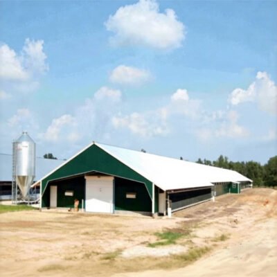 Steel Structure Livestock Shed for Dairy Farm