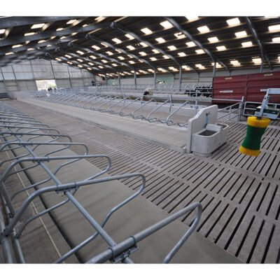 Modern Design Practical and Durable Steel Structure Chicken House for Poultry Raising for Farmhouses