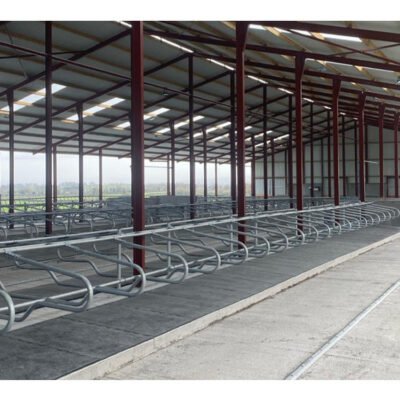 Fast Assemble Modern Steel Structure Farm House Cattle Shed Economical Prefab Cow Barn Beef Cattle Fattening Leak-proof Roof