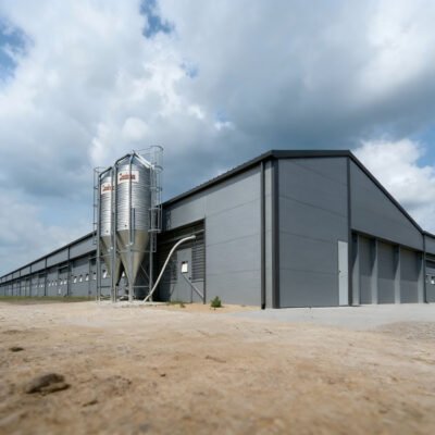 Fast Construction Low Cost Modern Commercial Broiler Poultry Farm Galvanised Steel Layer Chicken House Lingshan Steel 5-Year