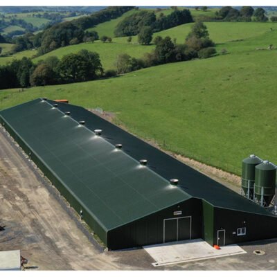 Steel Structure Livestock Shed for Dairy Farm