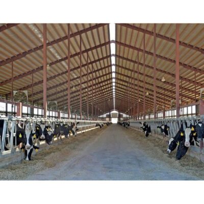 Poultry House with Automatic Feeding System