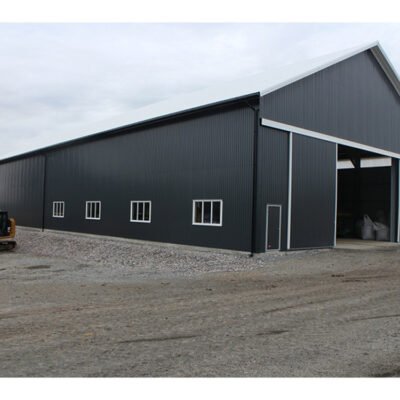 Heavy Duty Steel Structure Frame with Crane Beam
