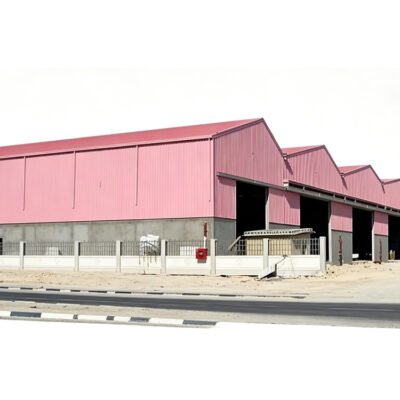Customized Steel Frame Structure for Commercial Building