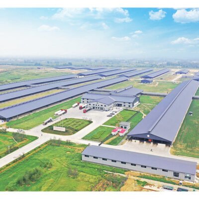 Modern Multi-Storey Prefab Steel Structure Warehouse Building for Industry